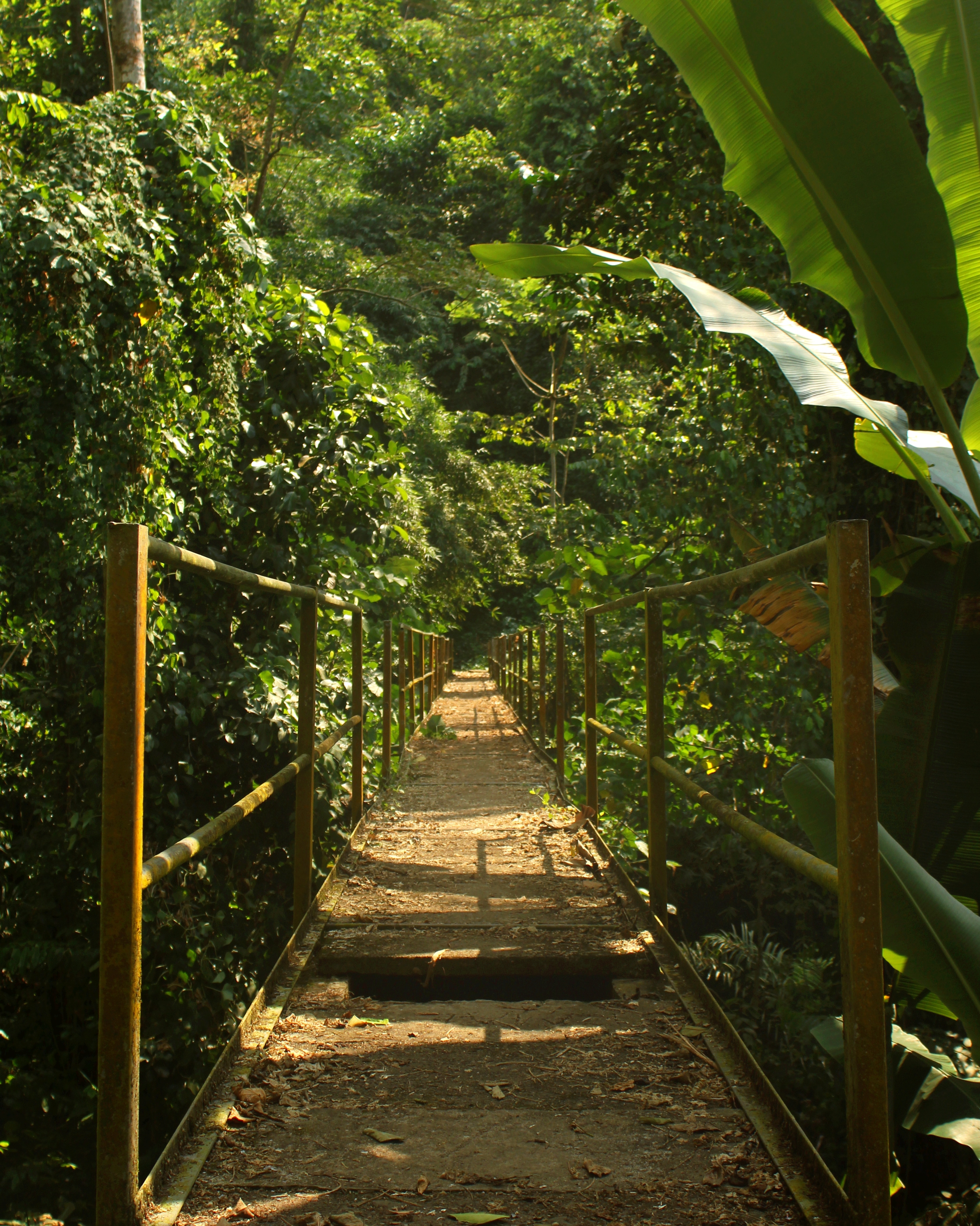 Breathwork in ruhiger Naturumgebung